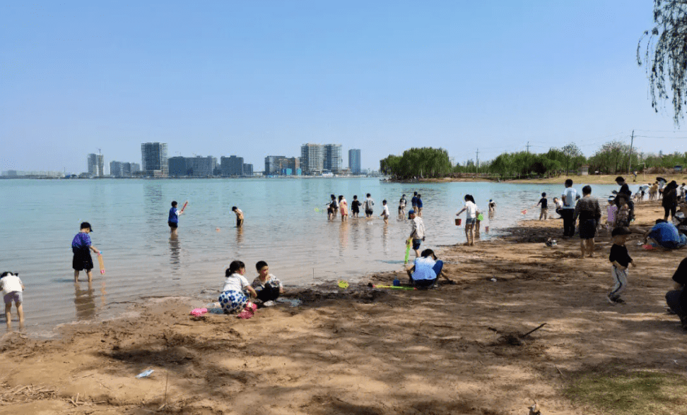 不想出远门,就选择到郑州北龙湖湿地公园游玩,早上十点半到的,附近没