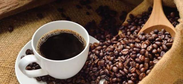 然而,1876年,咖啡叶锈病席卷印尼并毁掉了大部分铁皮卡品种.