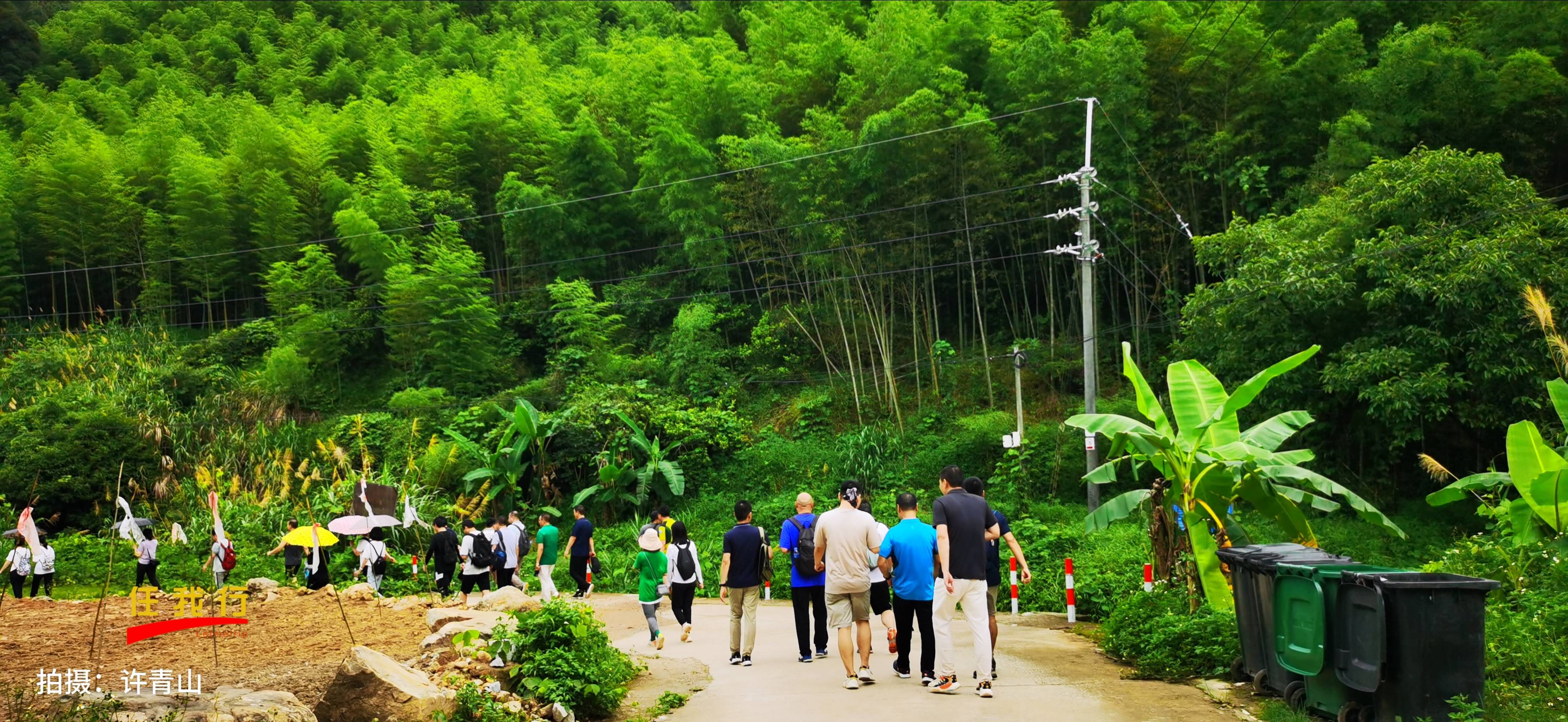 t29从化摘水果,星溪线竹林徒步团建1天