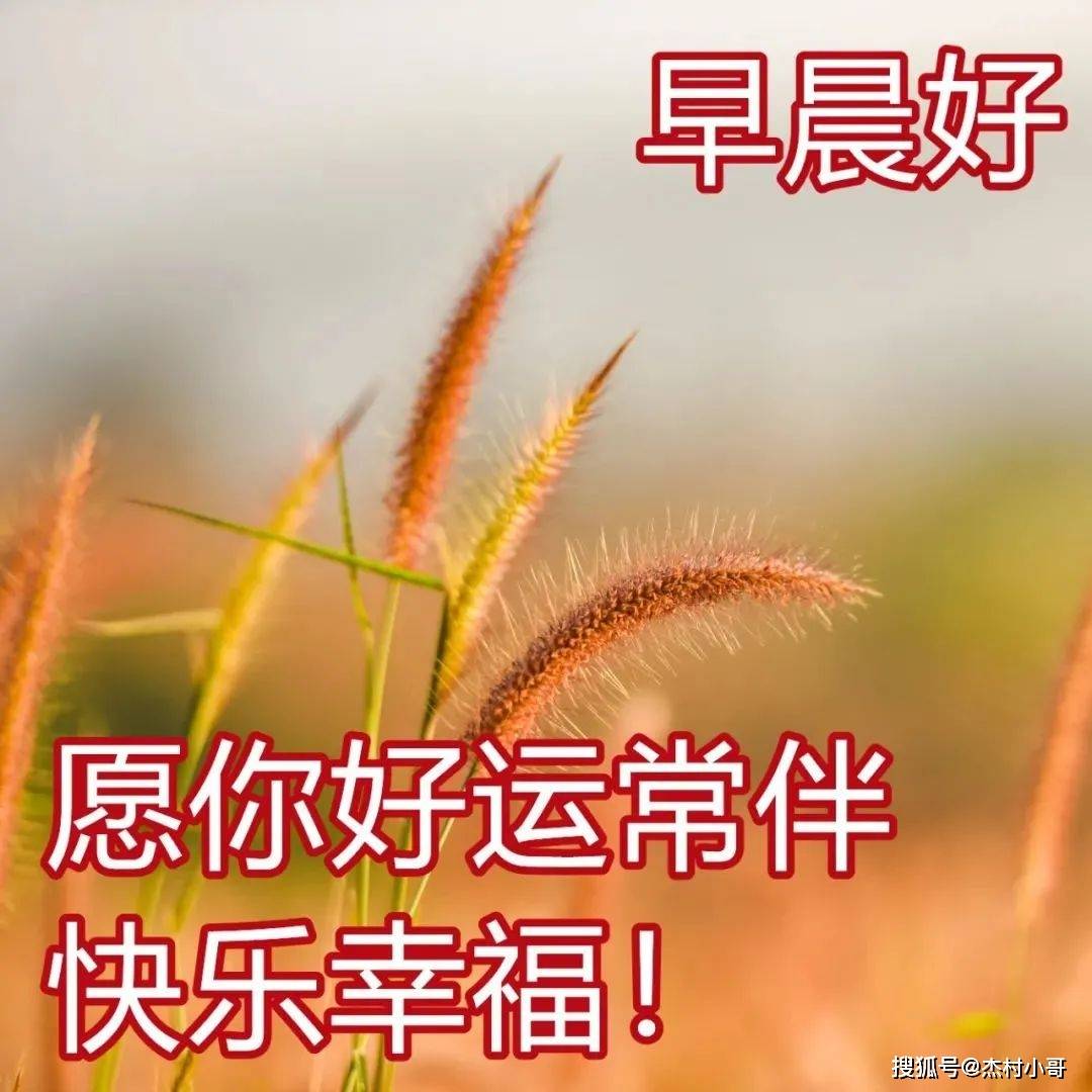 原创            超漂亮早上好表情图片带鲜花 2023最新版早上好动态表情图片-早上好鲜花动态表情