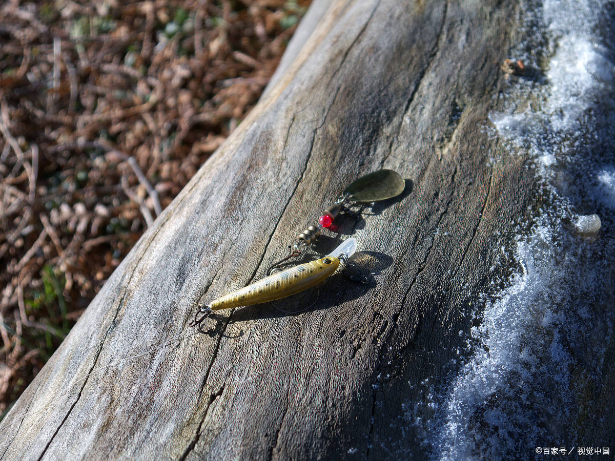 「威美特渔具」威海钓鱼竿之路亚飞蝇钓_黑鱼_左手_口腔