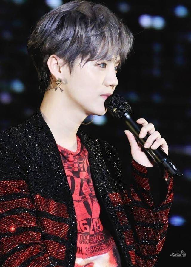 作为sm公司第一位外籍ace,鹿晗是靠实力拿下exo主唱和领舞的头衔,回国