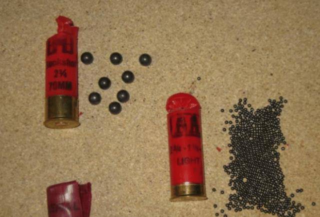 被霰弹枪打中是什么样子的?_弹丸_威力_杀伤力