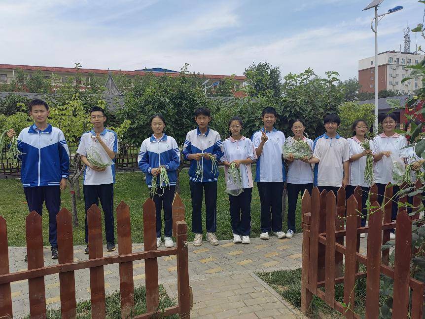 濮阳市油田第五中学:劳动教育有特色 实践基地迎丰收_活动_知识_全