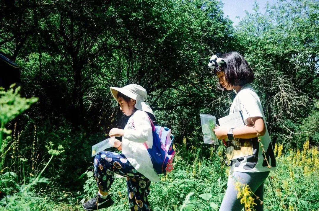 暑假研学 | 国宝守护者大熊猫科考夏令营，招募铲屎官，领取3张证书和科考报告