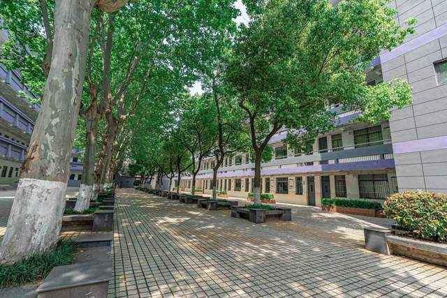 多少分可以报考南京市第六十六中学?校领导亲自解答!_办学_教育_发展