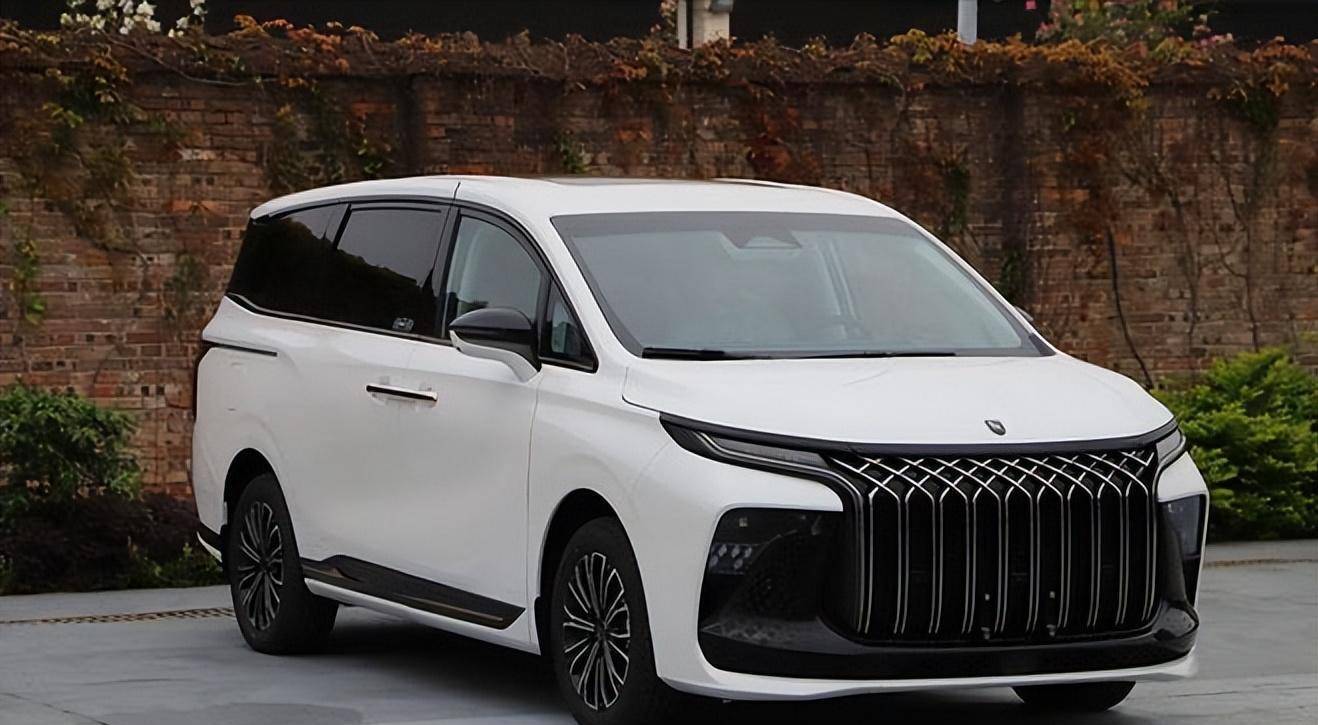 新款东风风行mpv亮相!独特外观设计惊艳众人!_搜狐汽车_搜狐网