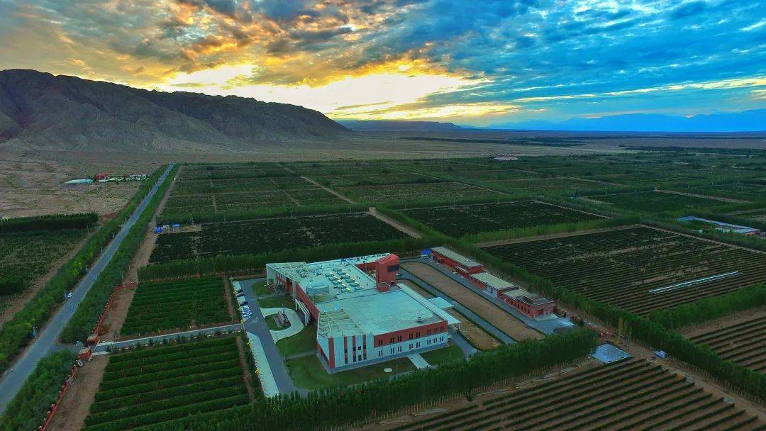 深耕风土探索求变,天塞酒庄不断擦亮中国葡萄酒"金