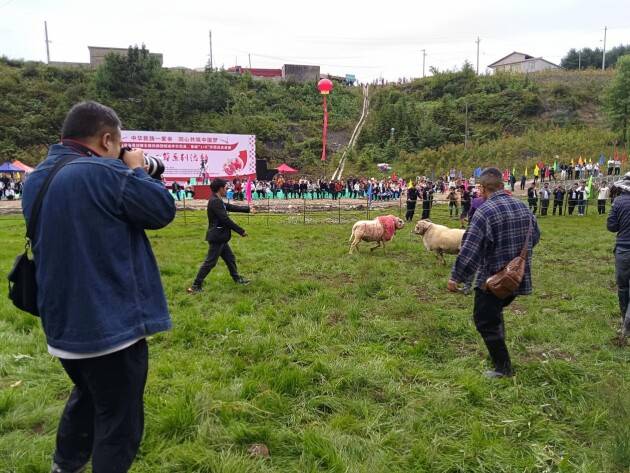 凝心聚力"赞足"民族发展力量—威宁自治县兔街镇"花山节"活动侧记