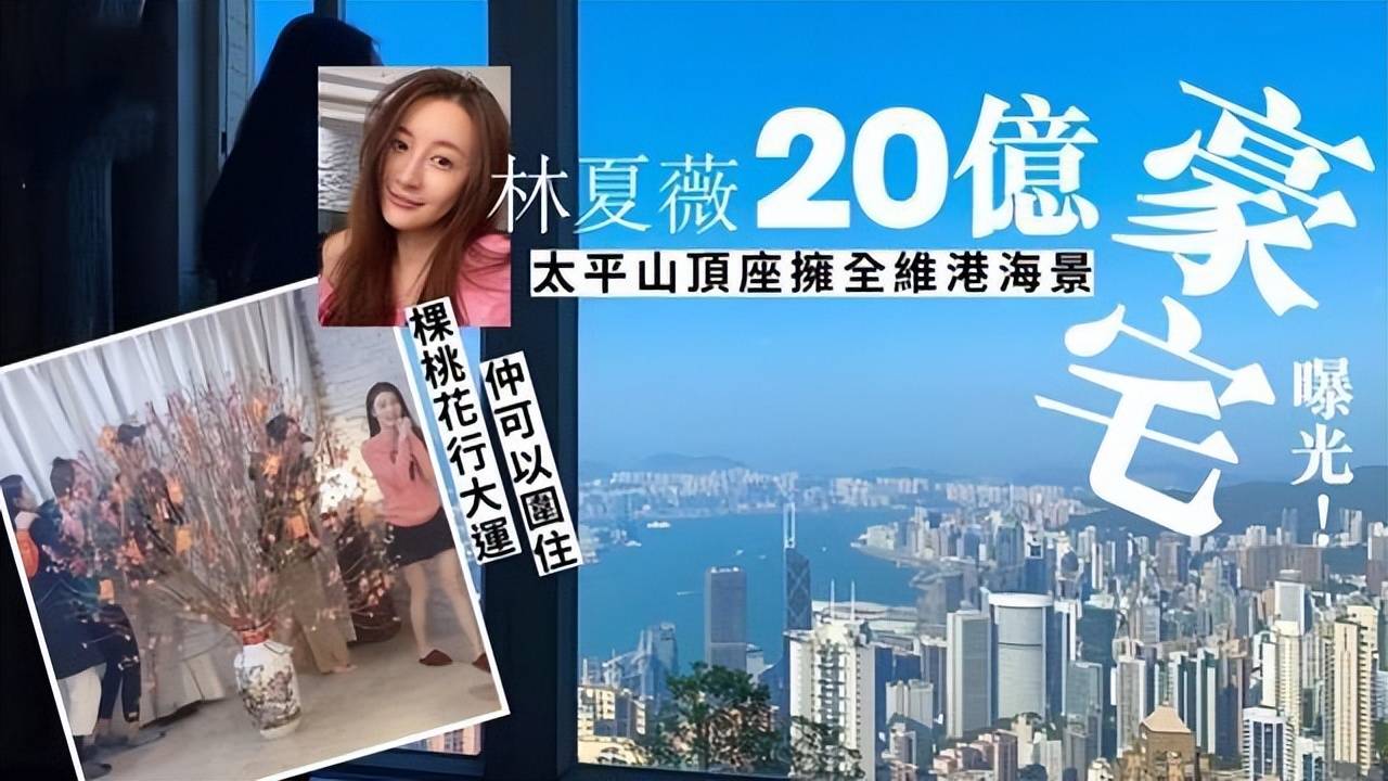 感情上,林夏薇于2015年7月嫁大15岁圈外富商莫赞生,后者美国俄亥俄州