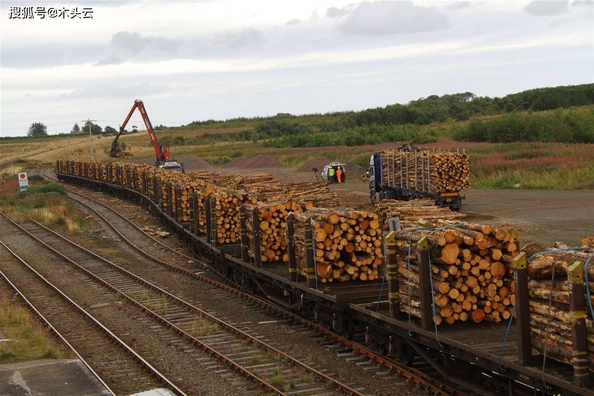 俄罗斯木材5月铁路装载量下降21%_利基_出口_数据
