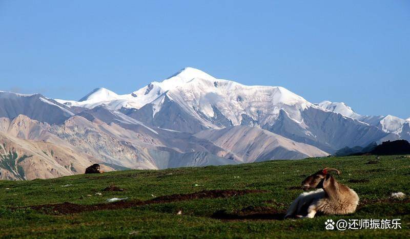 藏地四大神山:冈仁波齐,梅里雪山,阿尼玛卿,尕朵觉沃_海拔_西藏阿里