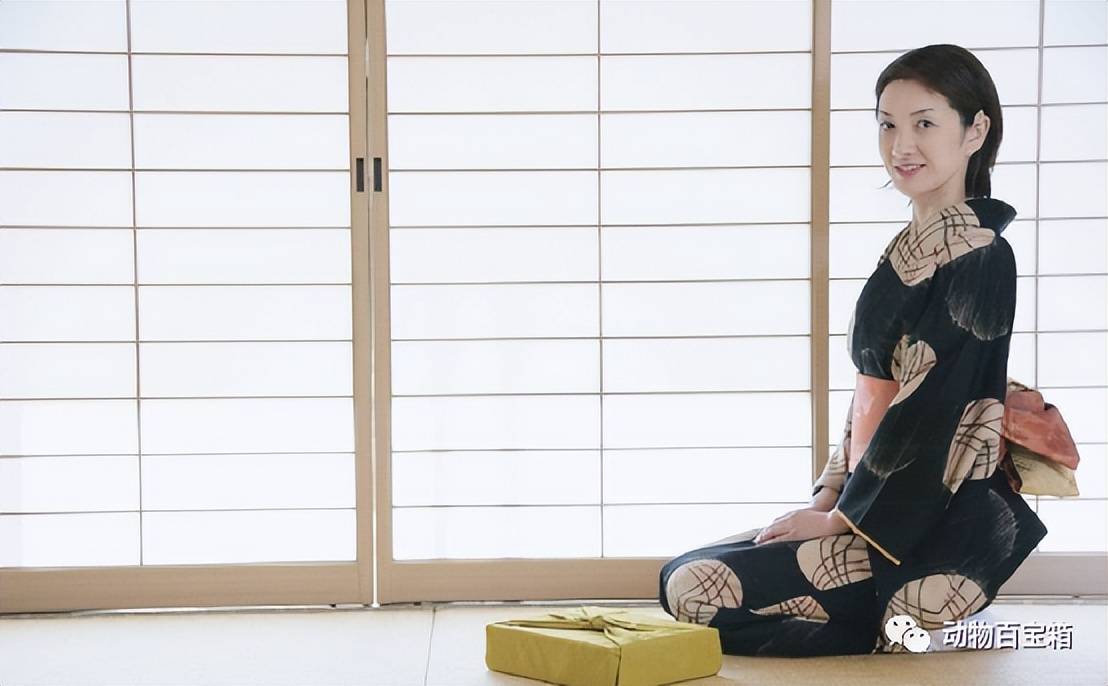 日本为何盛行脱鞋文化?教室,餐厅都要脱鞋,不怕脚臭吗?