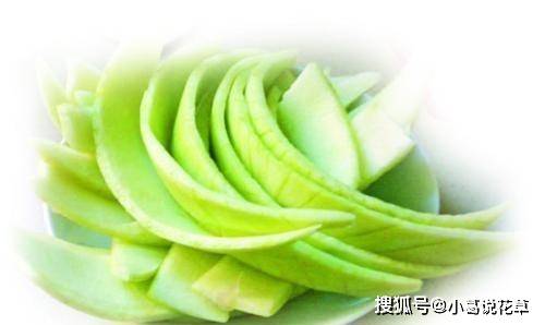 西瓜皮竟然可以当药用,它有四大功效,很多人都不知道_夏天_牙痛_外皮