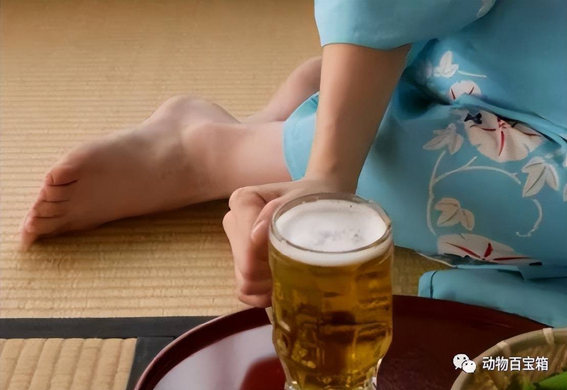 日本为何盛行脱鞋文化?教室,餐厅都要脱鞋,不怕脚臭吗?