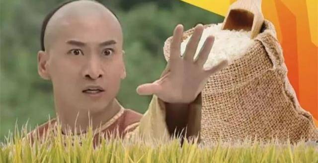 承包农田种植水稻,今为武汉捐献两万斤大米_林心如_表情_包还