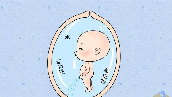 羊水是胎儿的尿吗 来自搜狐网