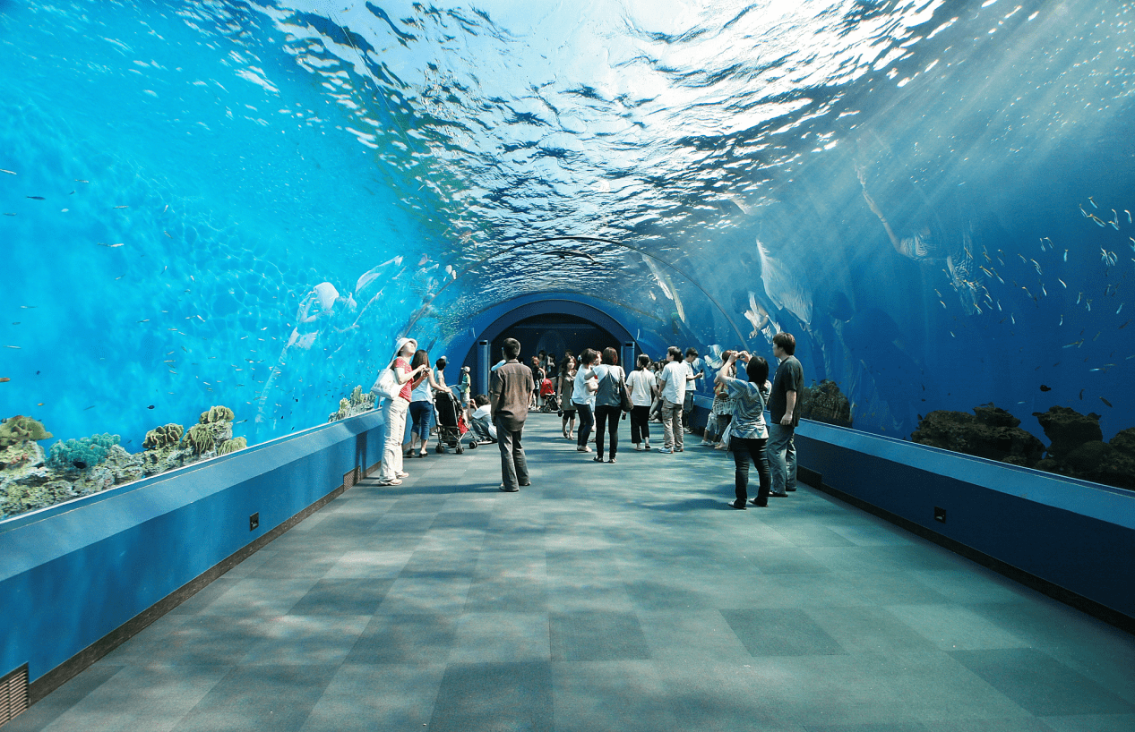 海洋館三維掃描建模_海洋館三維激光測量_海洋館數字孿生_進行_生物