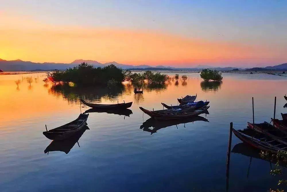 【东虎岛浮潜】周四周六:东虎岛浮潜赶海 盐洲岛日落白鹭 礁石公园