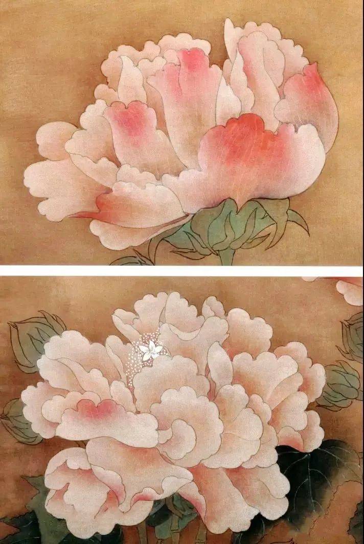 宋代芙蓉图设色步骤图片