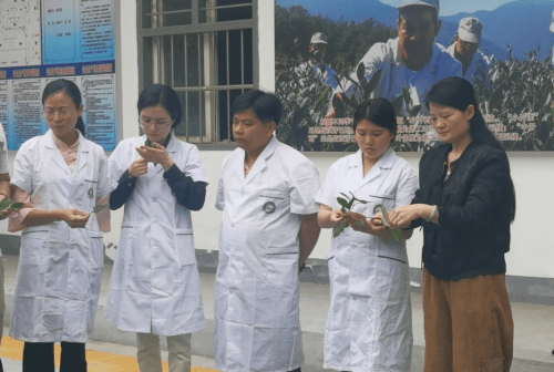 科技特派员走进传成荒野茶叶专业合作社，以三茶理念助力茶产业发展