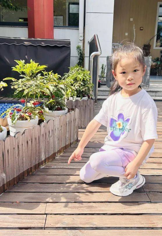 发现课程里儿童的生长//桐乡市庆安小牛津幼儿园大班组—大玩家