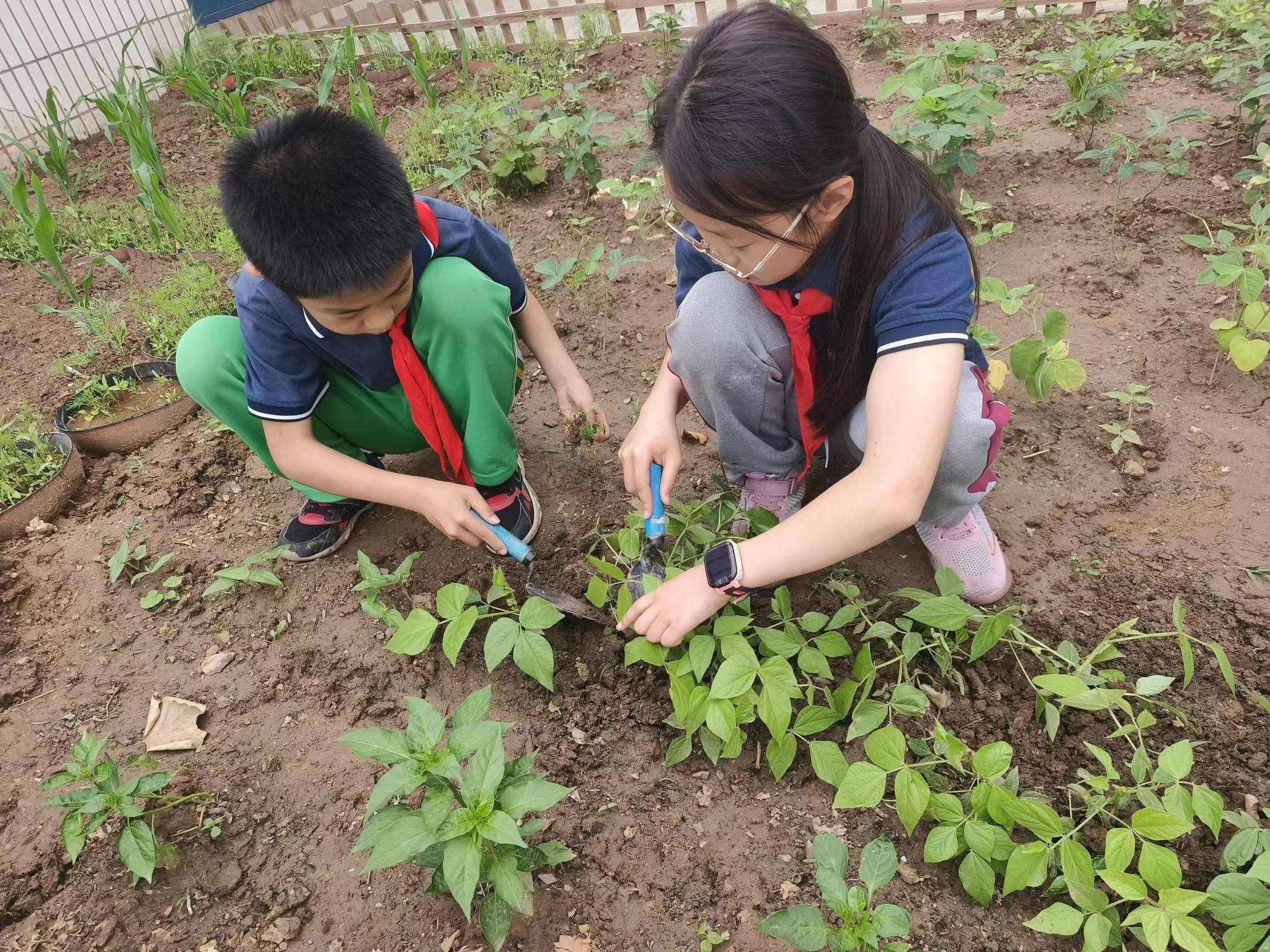 吕云涛摄此次活动让学生们懂得了"劳