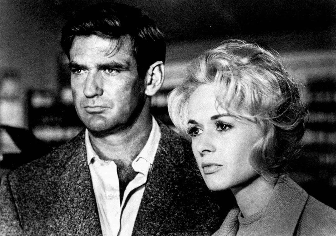 电影《群鸟》:希区柯克眼中的心理恐惧与社会隔离_米奇·达尼尔斯