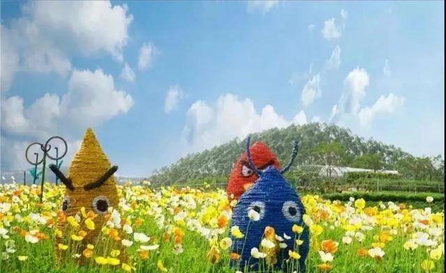 新年行大运第站:华辰玫瑰园&梁村云吞!_怀集_肇庆_花开富贵