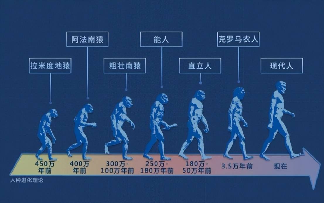 人类凭什么站在食物链顶端?进化论诞生百年,为何干不翻神创论?