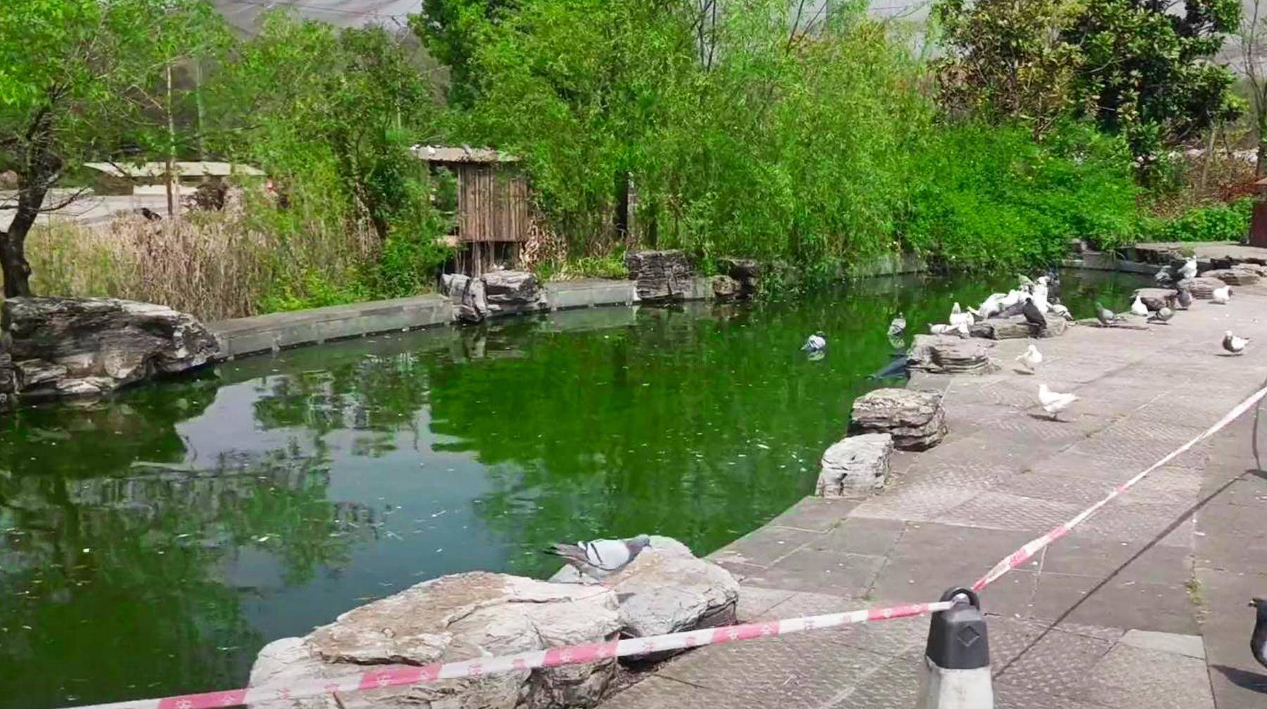 和大多数建在乡村的游乐场一样,鸟语林首先获胜,独立于龙灵山公园周边