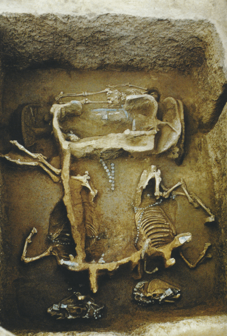 海岱考古 | 山东省历年"全国十大考古新发现"①_遗址_文化_车马坑