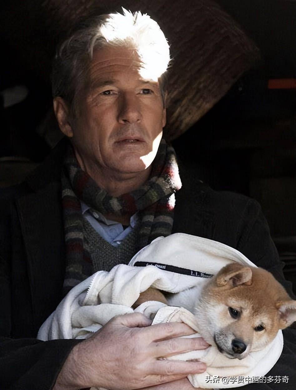 跨越种族的忠诚和坚守:忠犬小八_主人_帕克_车站