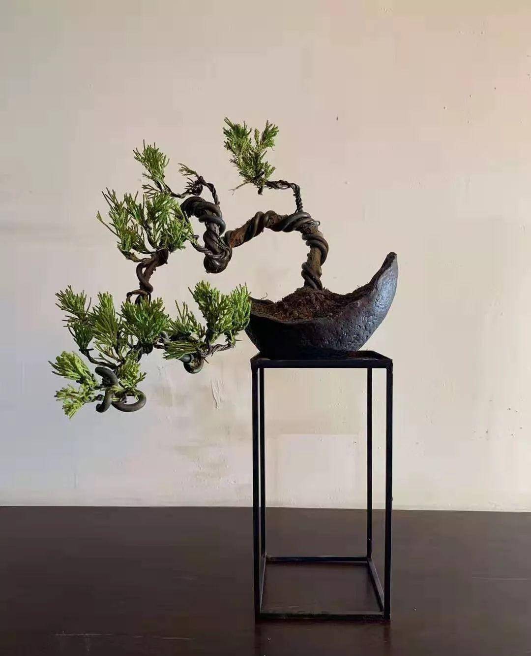 盆景,简单而不奢华,普通的家庭也可以拥有,阳台上的盆景_修剪_造型