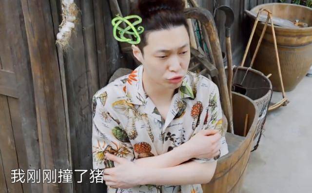 《向往生活》,回顾已经播出的节目内容,张艺兴的到来也给蘑菇屋增添了