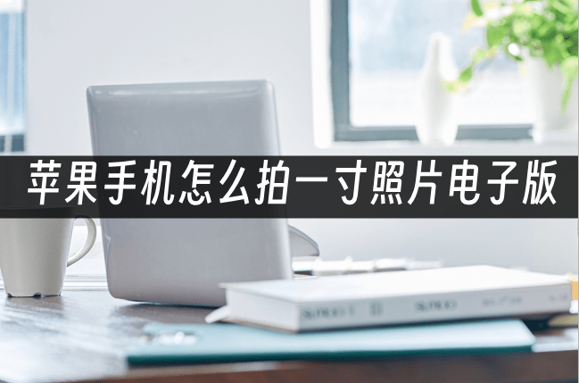 苹果手机怎么拍一寸照片电子版？详细拍摄指南分享-如何用苹果手机照一寸照片电子版