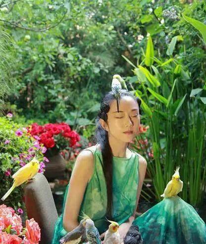 摘掉6根肋骨,几十年不吃米饭?揭开杨丽萍的神秘面纱_指甲_传闻_之谜