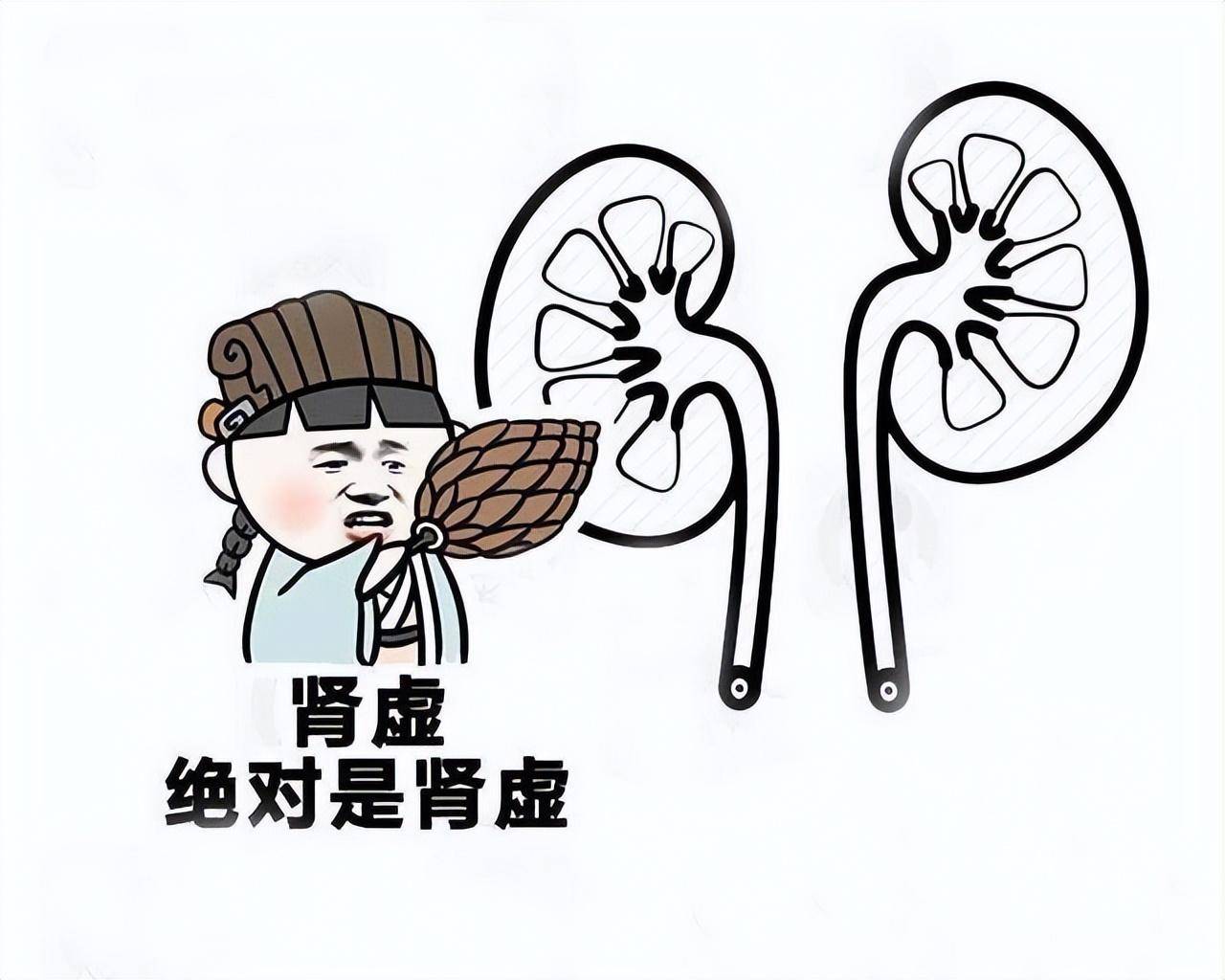 肾虚的人,究竟是哪里出了问题?