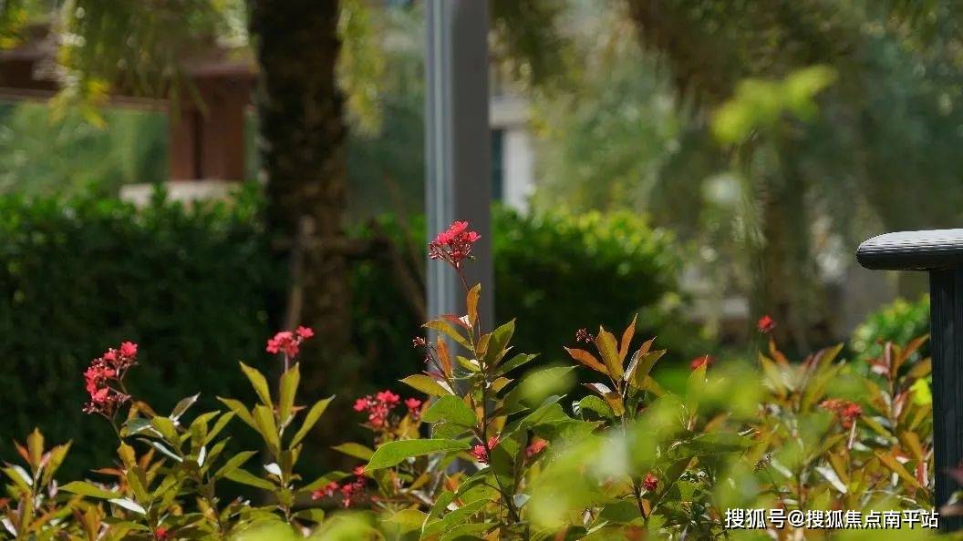 汇元江海汇欢迎您(售楼中心)海口汇元江海汇售楼处—电话|楼盘最新