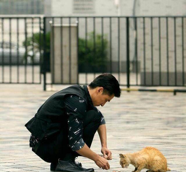 不是因为薛佳凝,胡歌如今还没有女朋友,真相公开!_电视剧_微博_猫猫