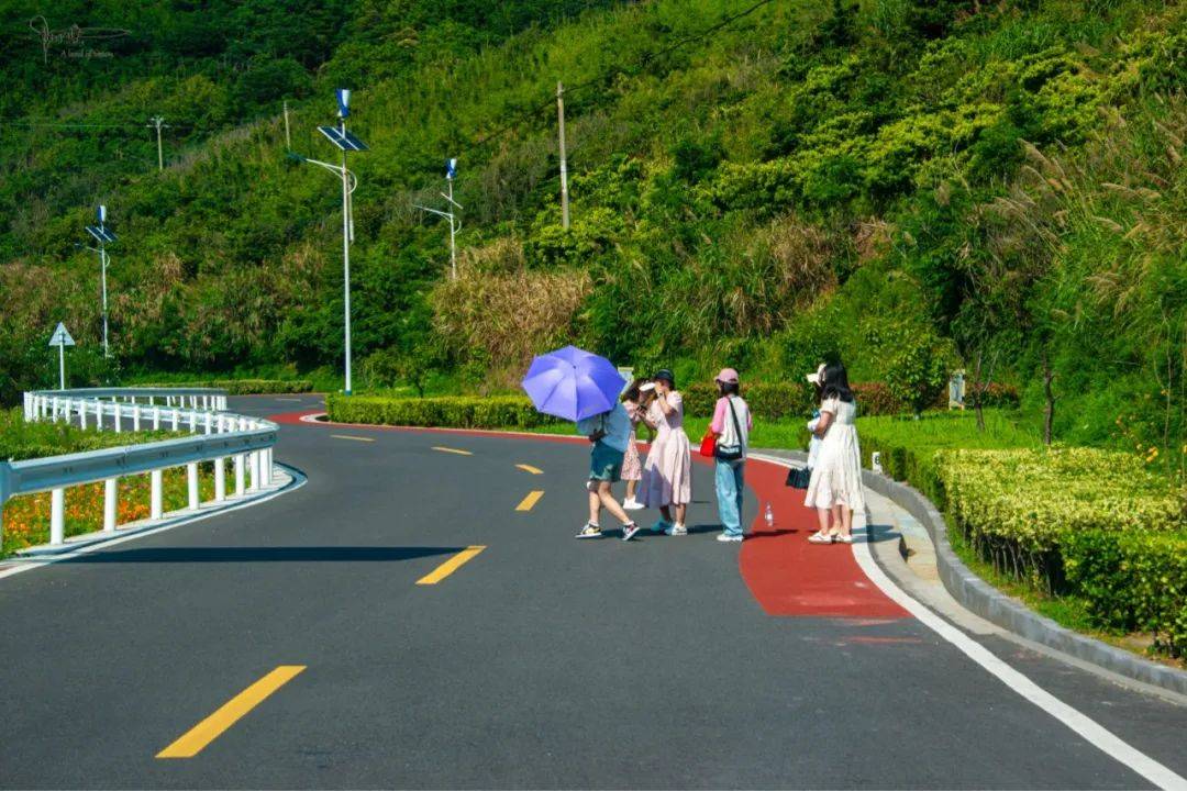 在車上抓拍左岸公路,雖然構圖隨意,但真實的畫面仍然很漂亮_前往_因為