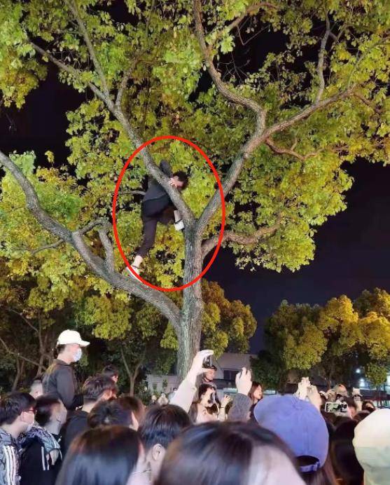 杨幂被陌生男子搭讪要微信,她这做法情商也太高了_社交_表演_祖儿