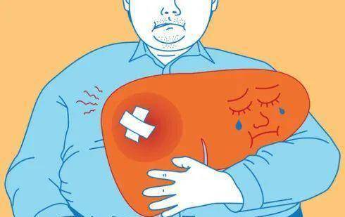 肝喜欢2件事,长期坚持,或许能让肝损伤来得慢一些_肝脏_身体_睡眠