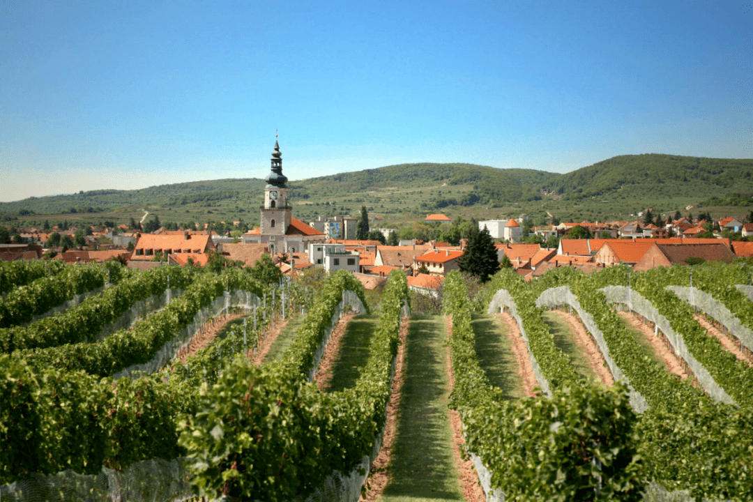 穿越中东欧 | 布局一带一路,突围传统市场(2023.10.08-2023.10.