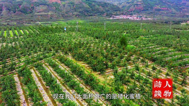人物专访甘肃省静宁县委书记何鹏峰:静宁苹果是静宁人民的幸福果_企业