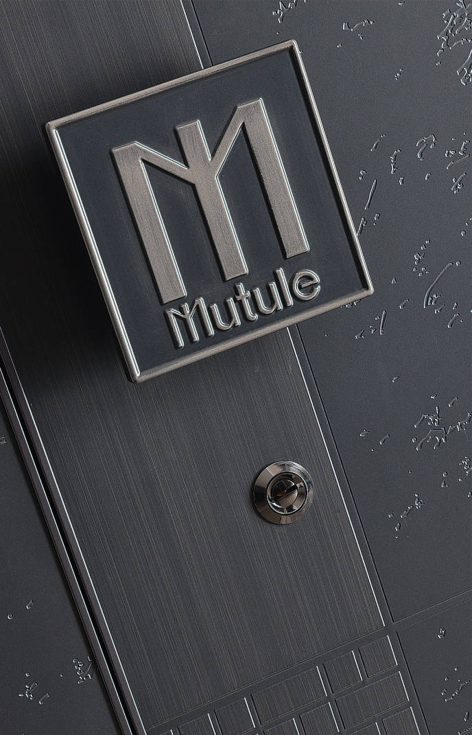 摩图拉轻奢极简入户门智能美感的极致融合_生活_风格_摩登