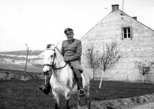 亲手屠杀五百犹太人,辛德勒名单原型人物_阿蒙·葛斯_德国