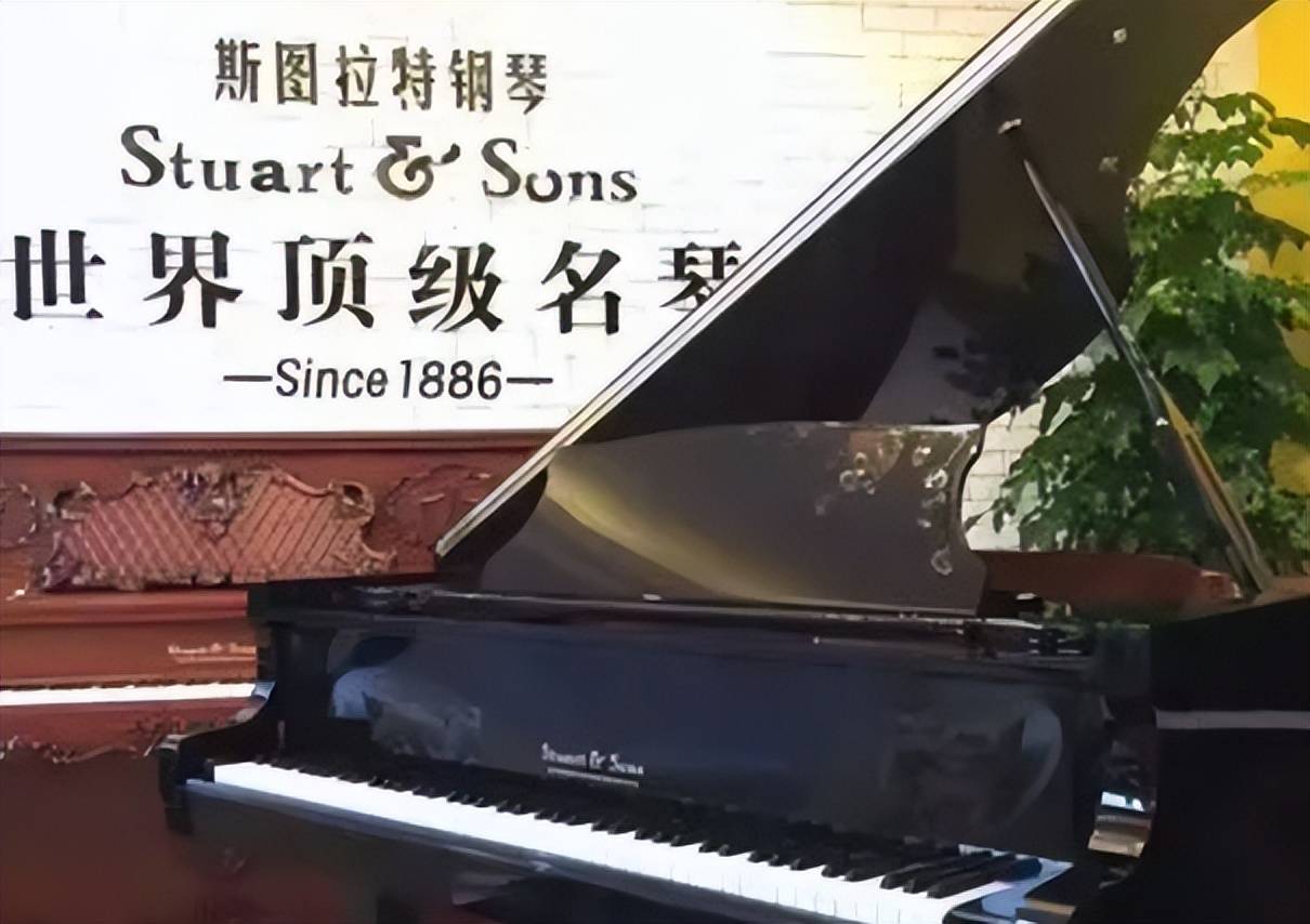 钢琴品牌排行_施坦格列泊索纳钢琴Steingraeber&Sohne和斯图拉特是世界十大名琴...