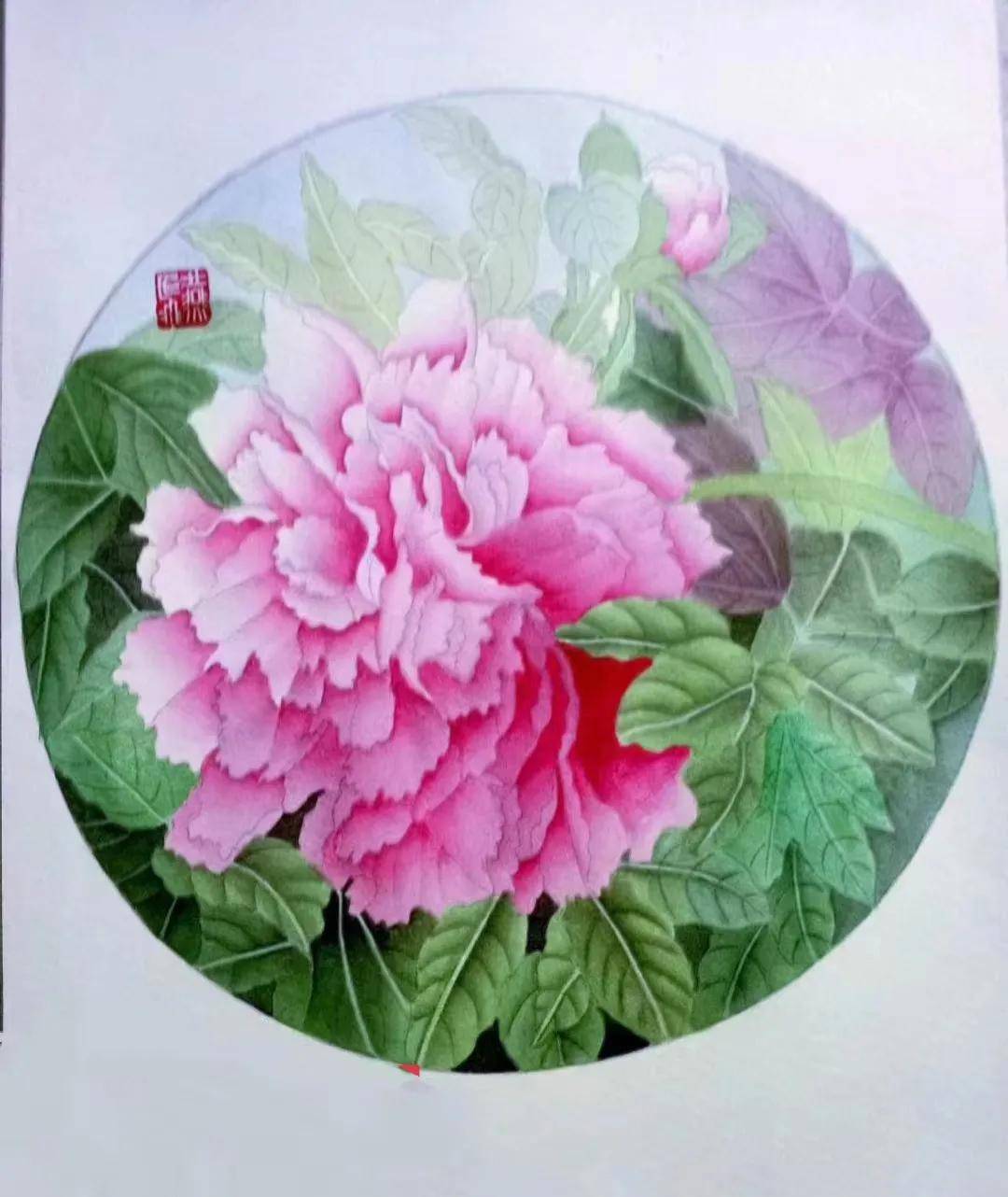 类别工笔作者姜燕飞作品牡丹类别马克笔绘画长风作品马克笔习作