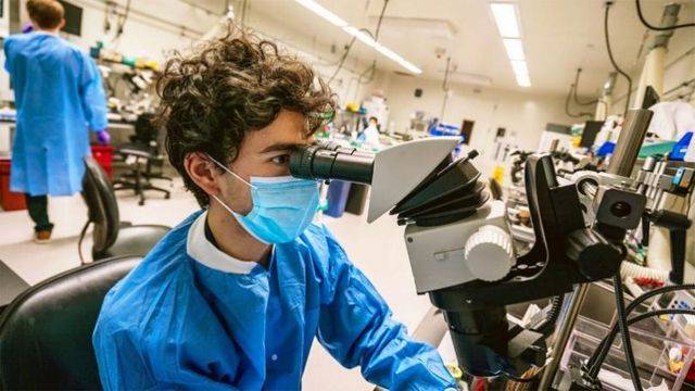 人工智能与机器学习技术助力科学家绘制完整脑部地图_研究_艾伦_数据